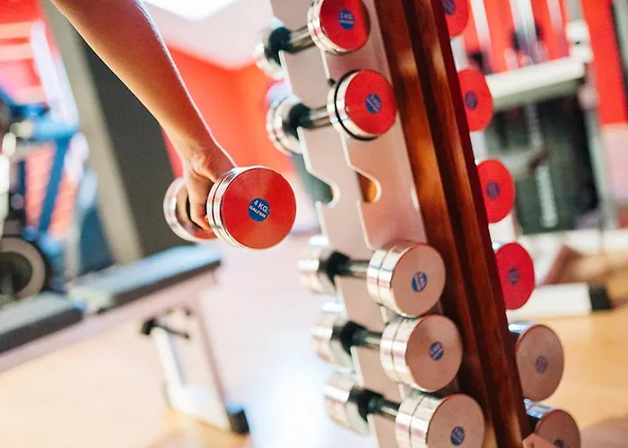 阿巴丰塞卡酒店 酒店 4*